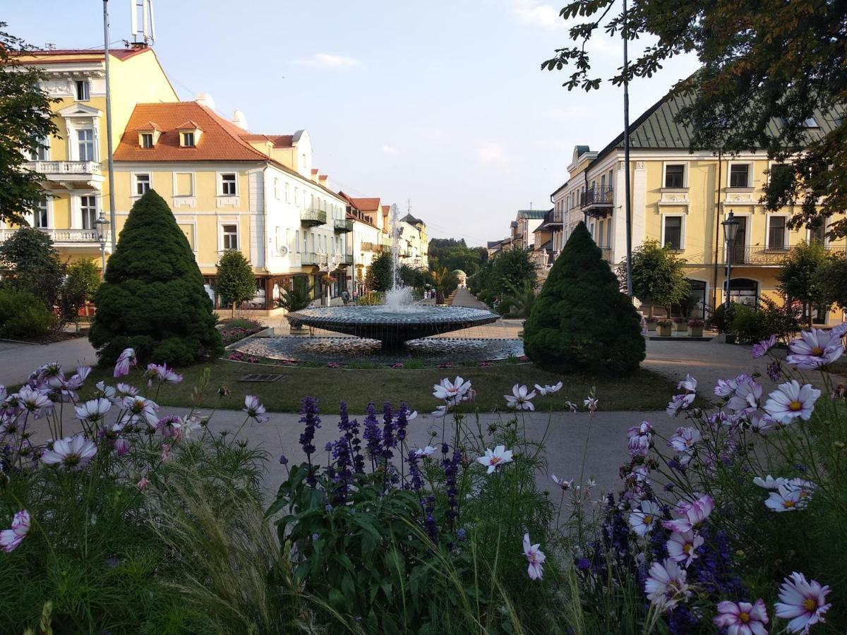Apartments Ceska Františkovy Lázně Extérieur photo